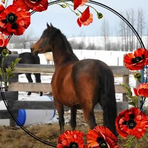 Meet your Posher, Jenny